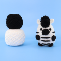 Zac The Zebra Crochet Kit