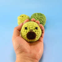 Avocado Crochet Kit & Pattern