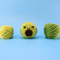 Avocado Crochet Kit & Pattern