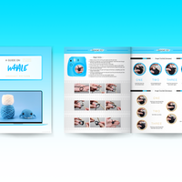 Whale Crochet Kit & Pattern