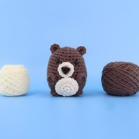 Cocoa The Bear Crochet Kit