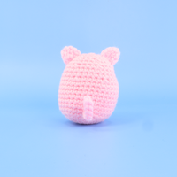 Rosy The Pig Crochet Kit