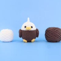 Skyler The Eagle Crochet Kit