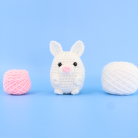 Sugar The Bunny Crochet Kit