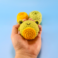 Frog Crochet Kit & Pattern