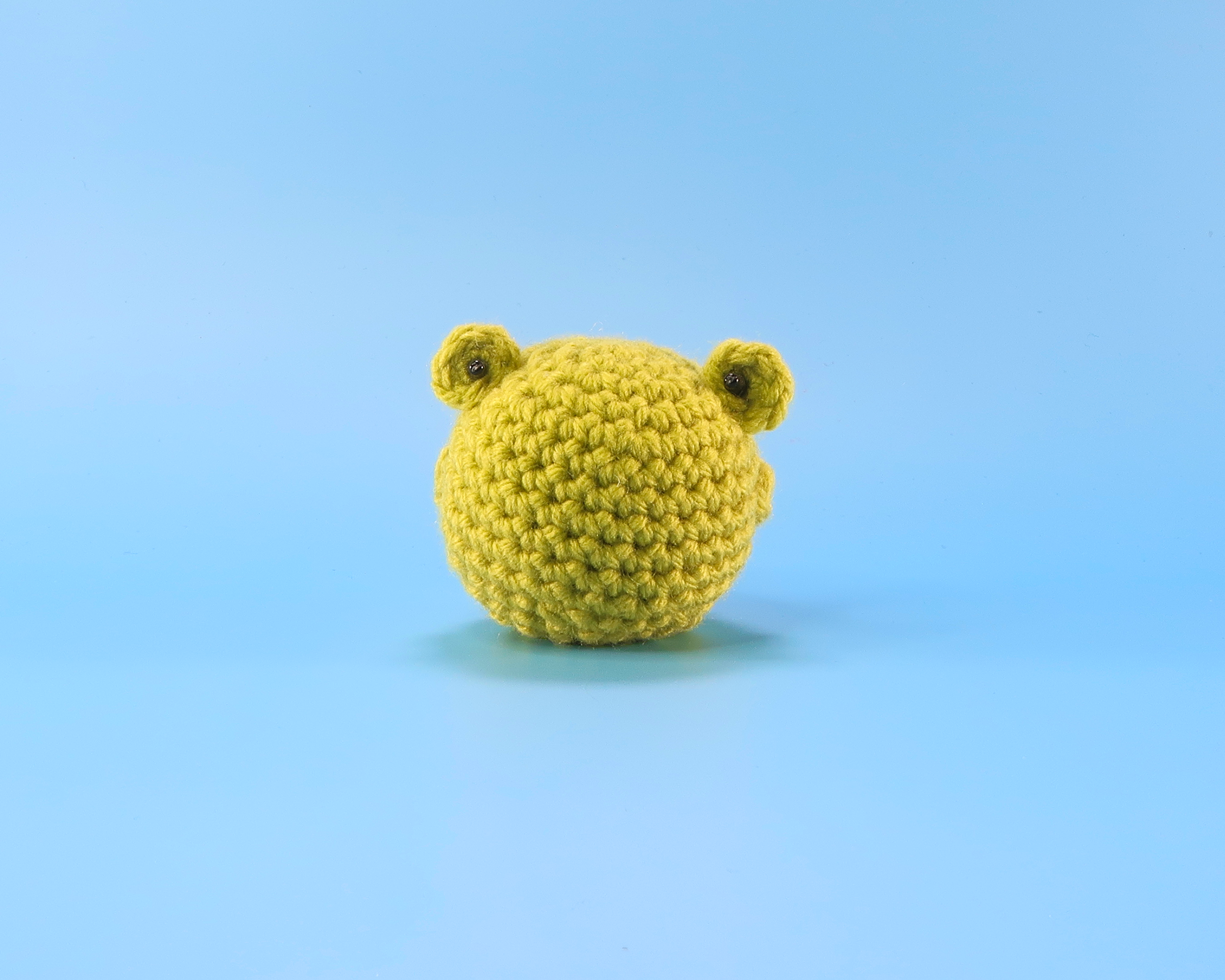 Frog Crochet Kit & Pattern