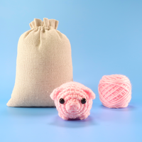 Baby Pig Crochet Kit & Pattern