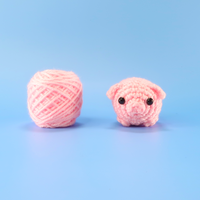 Baby Pig Crochet Kit & Pattern